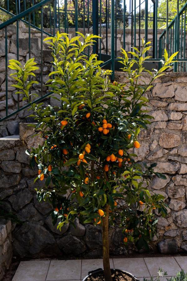 Tessa With Terrace, Free Wi-fi/parking Dubrovnik