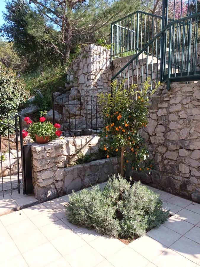 Tessa With Terrace, Free Wi-fi/parking * Dubrovnik